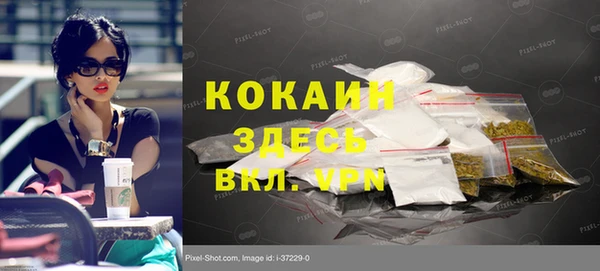 ГАЛЛЮЦИНОГЕННЫЕ ГРИБЫ Арсеньев