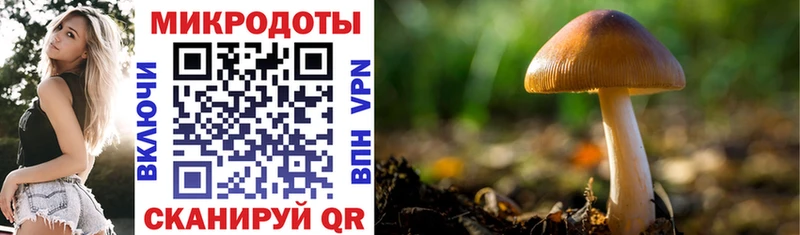 Галлюциногенные грибы мицелий  купить  цена  Артём 